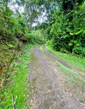 Agricultural Land with Fruit Trees