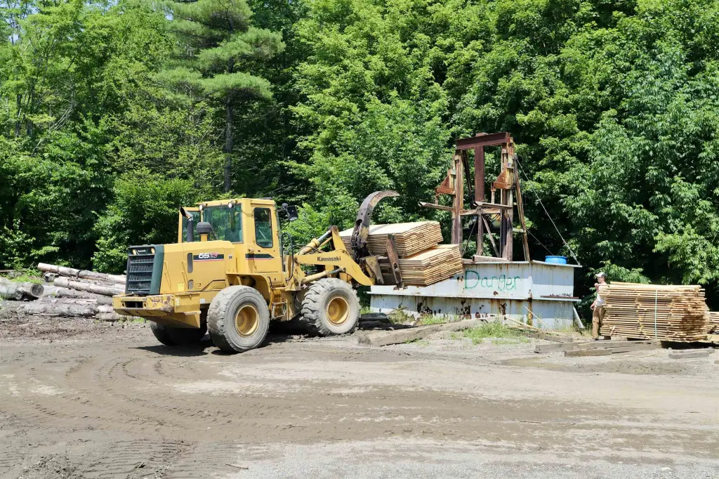 Picture 24