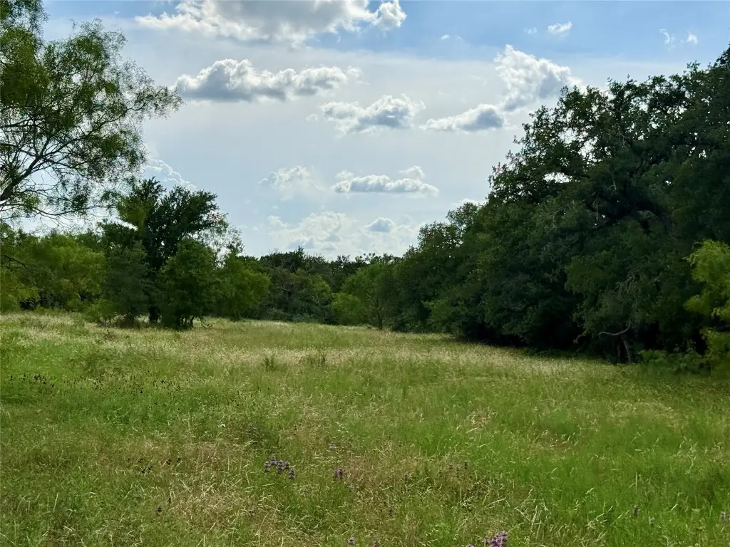 Picture 13