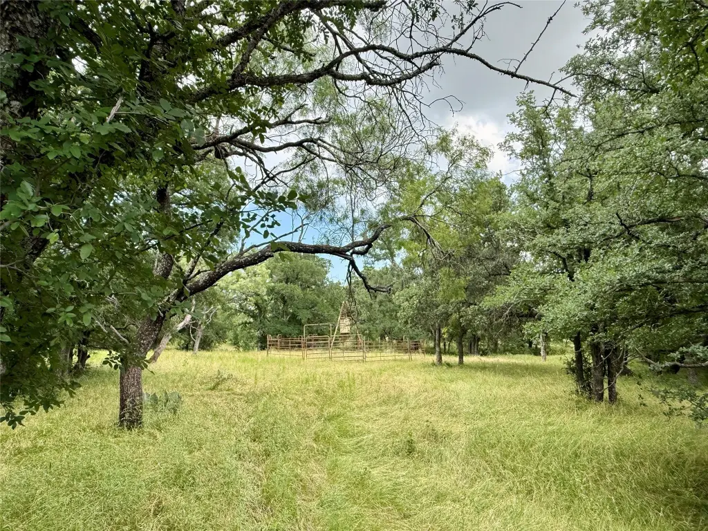 Picture 25
