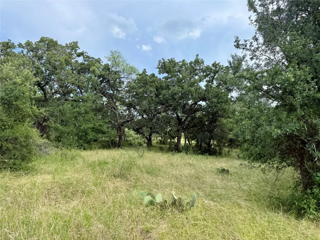 Picture 31