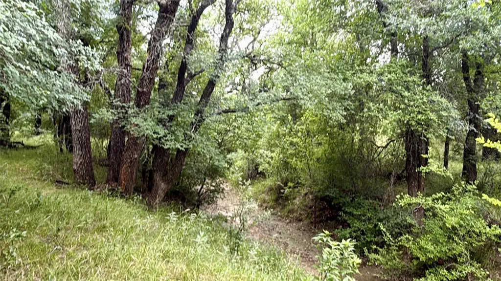 Picture 27