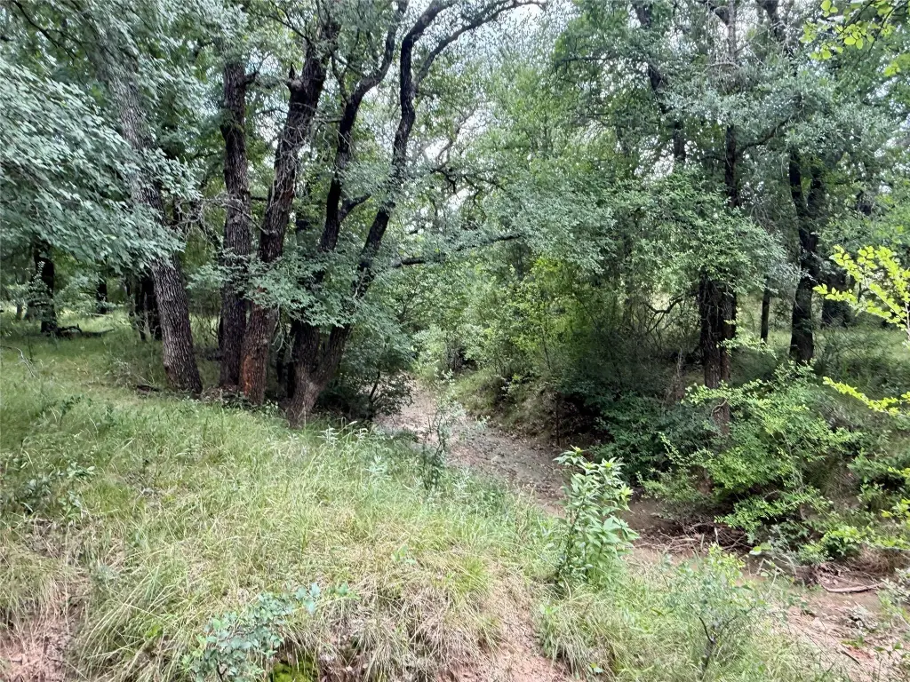 Picture 28