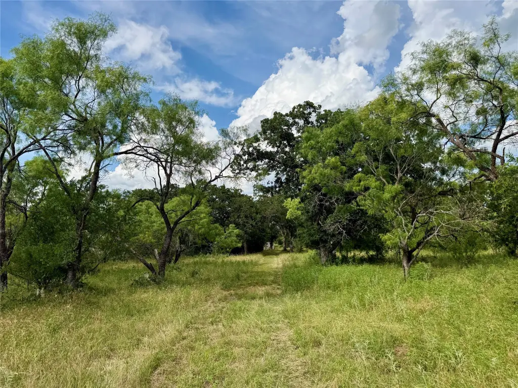 Picture 24