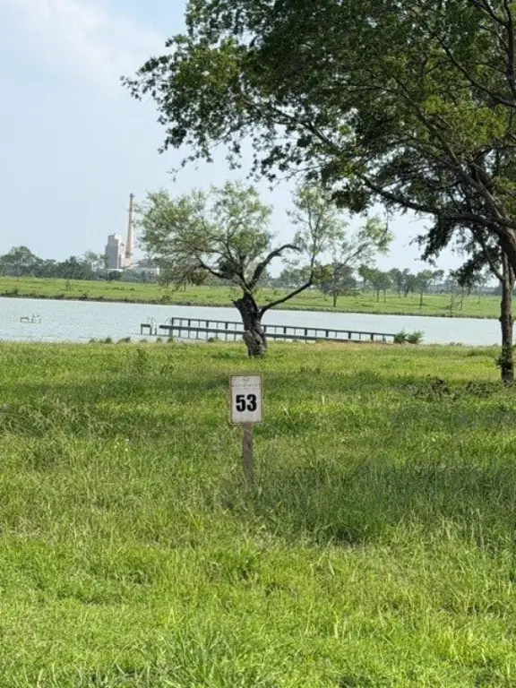 Picture 11