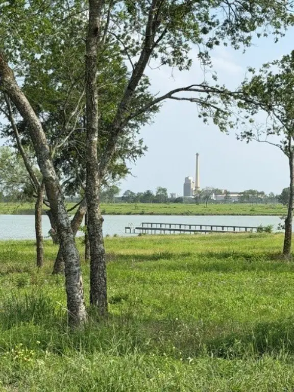 Picture 15