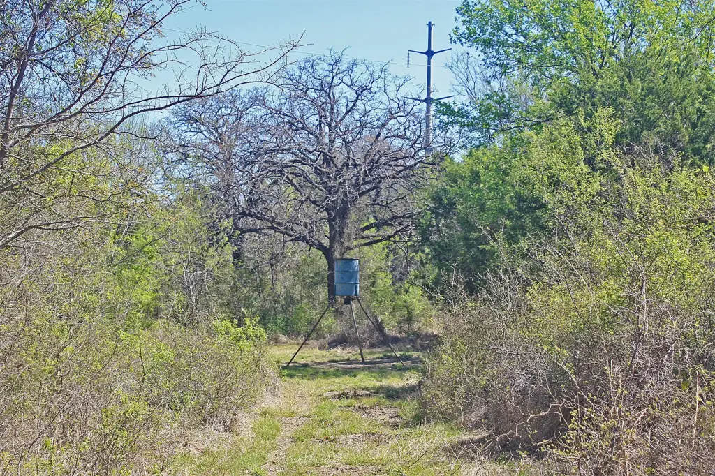 Picture 17