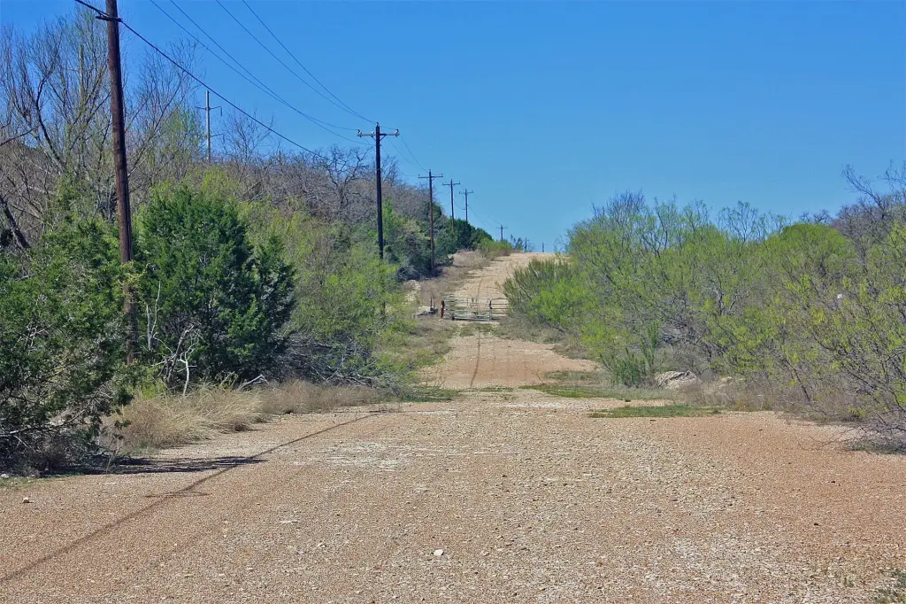 Picture 8