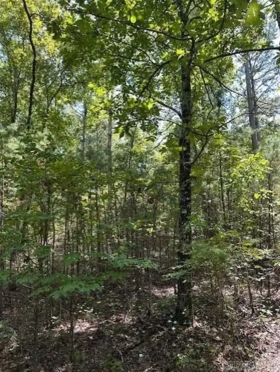 Picture 23