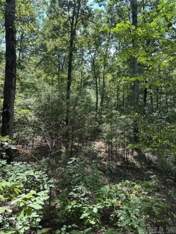 Picture 25