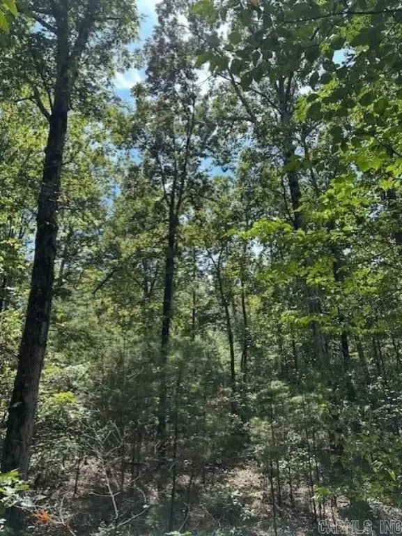 Picture 21