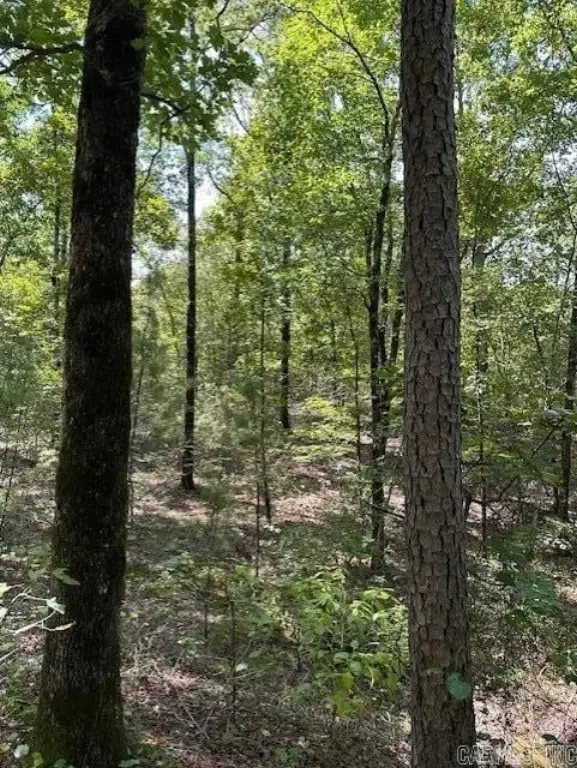 Picture 28