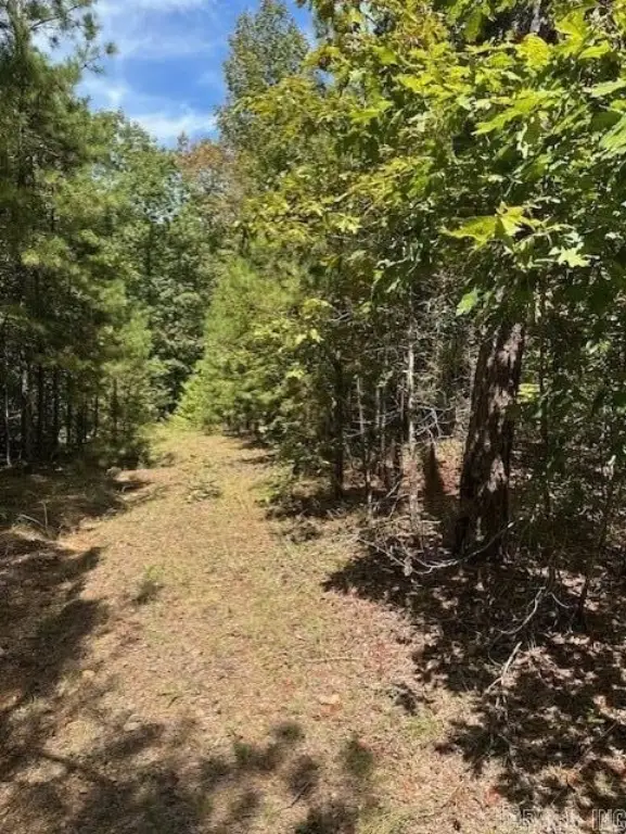 Picture 30