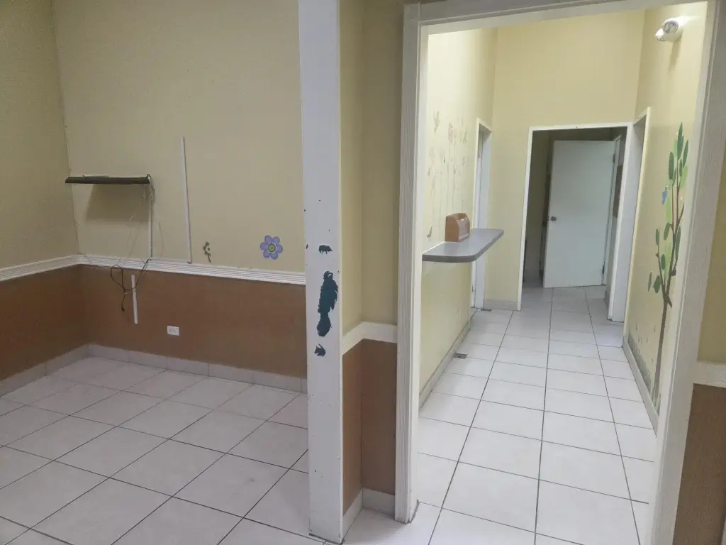 Picture 20