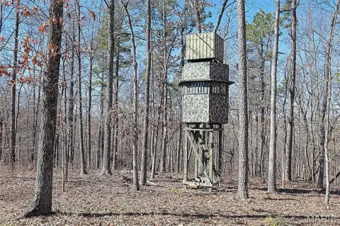 50 Acres Hunting Paradise