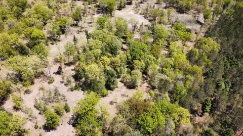 Manistee Land Near Lake Michigan