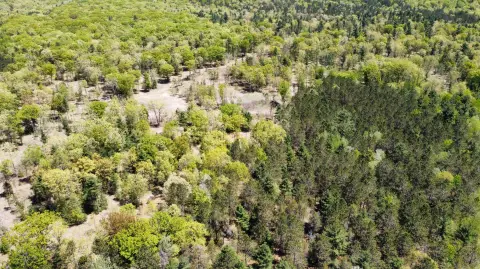 Manistee Land Near Lake Michigan