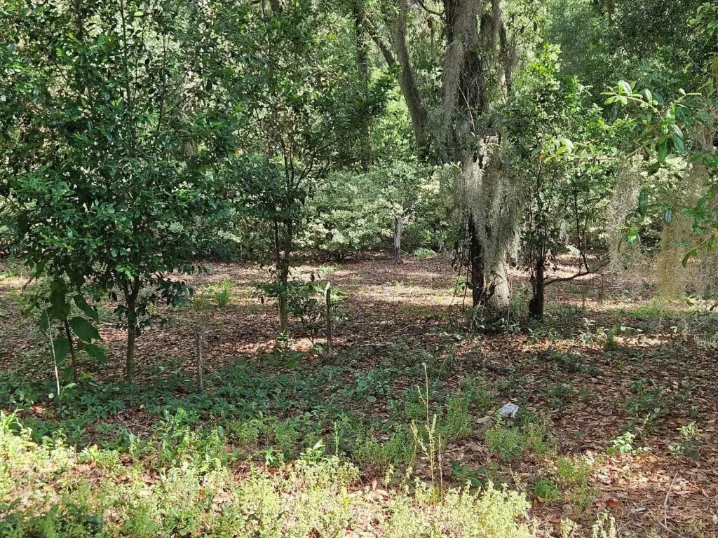 Picture 10