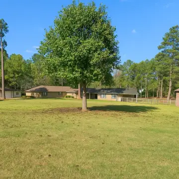 Homesite Near Lake Sam Rayburn