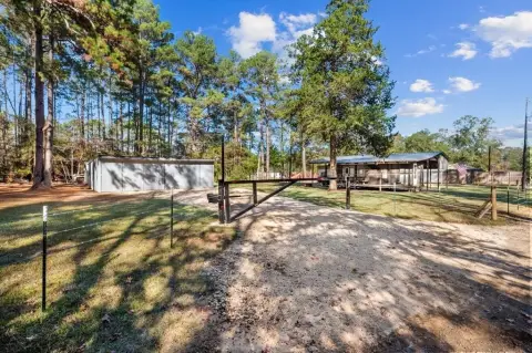 Toledo Bend Waterfront Acreage