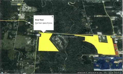 Wooded Commercial Land