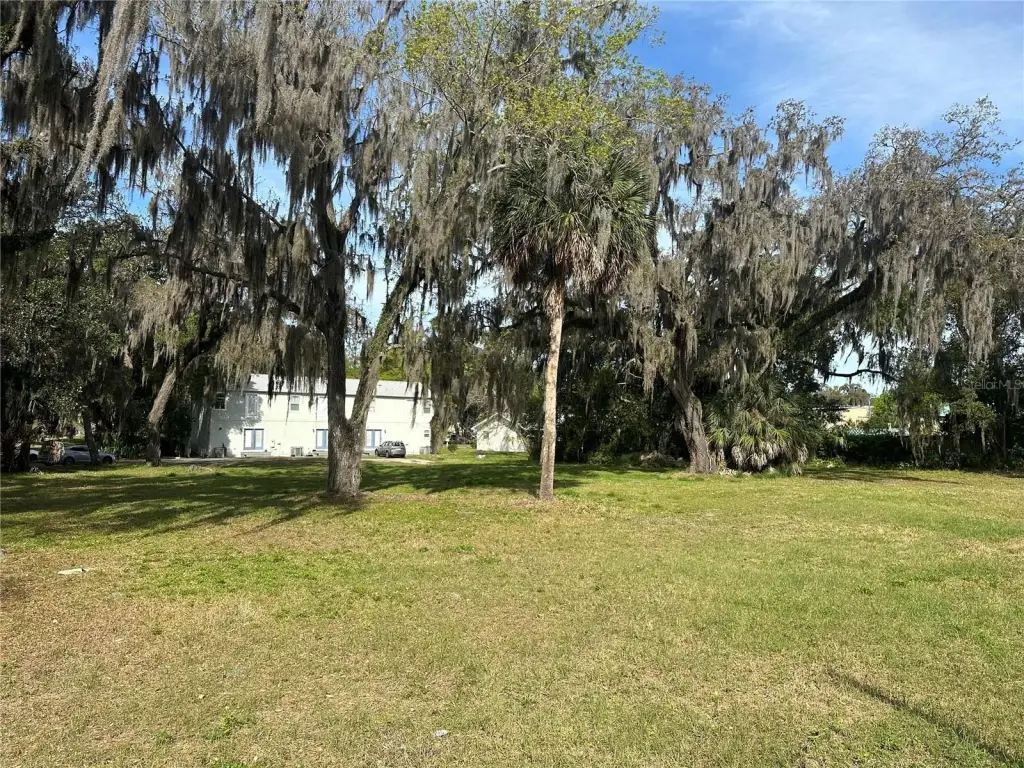 Picture 3