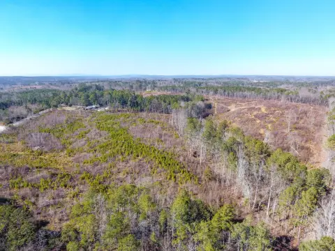 Versatile Land Near Tallapoosa, GA