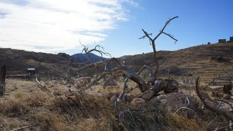 Land in Glacier View Meadows