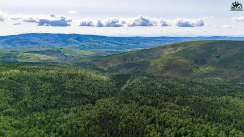 Fairbanks Land with Building Potential