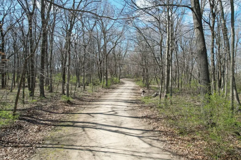 Picture 19