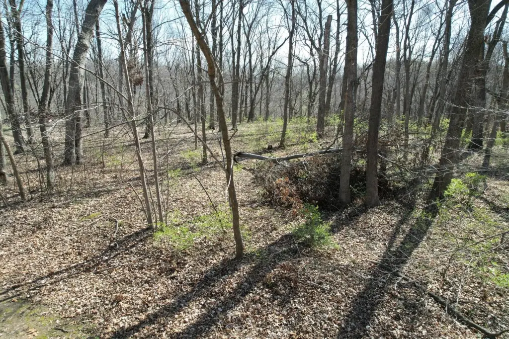 Picture 34