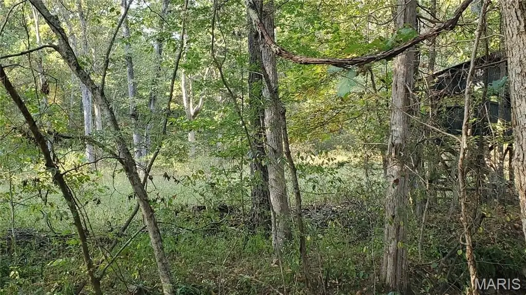 Picture 41