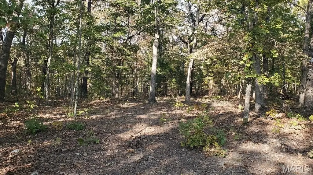 Picture 14