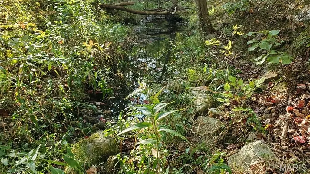 Picture 29