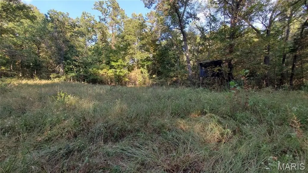 Picture 42