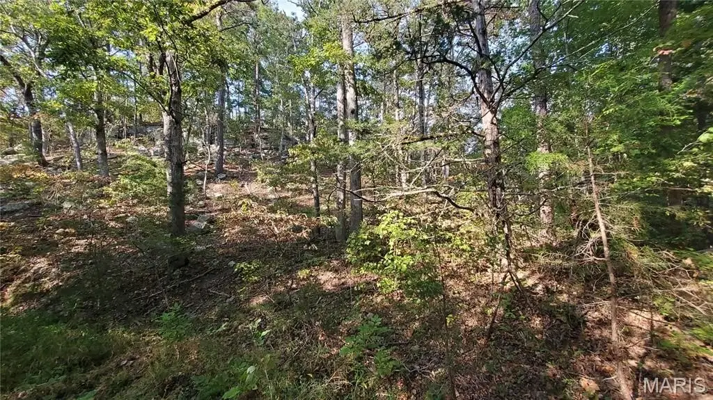 Picture 24