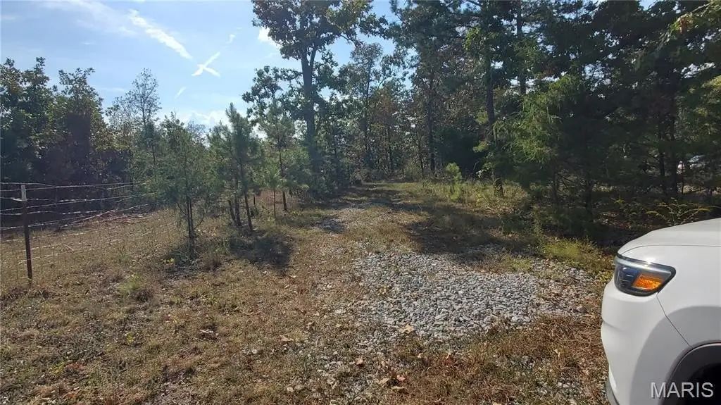 Picture 8