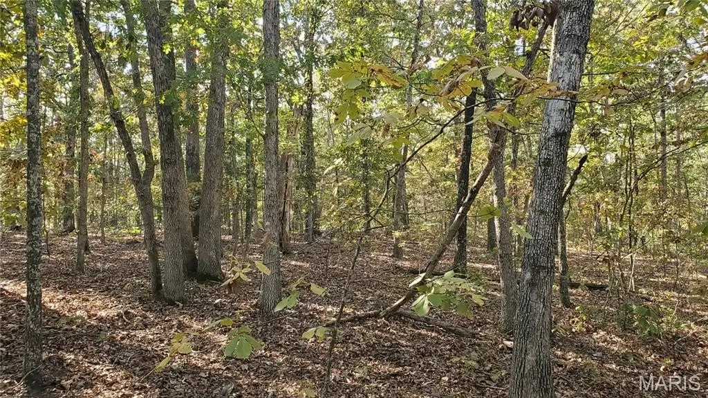 Picture 17