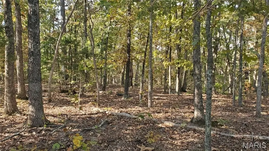 Picture 16
