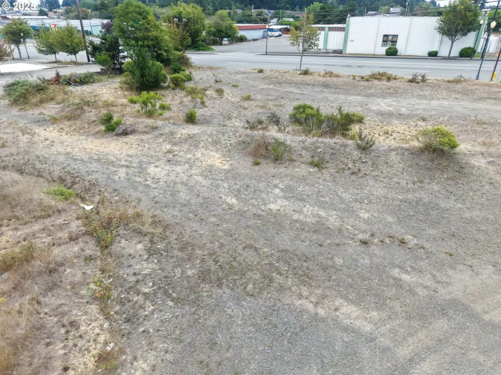 Picture 16