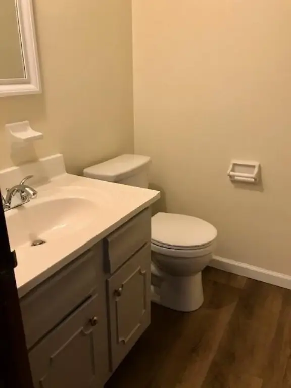 Picture 17
