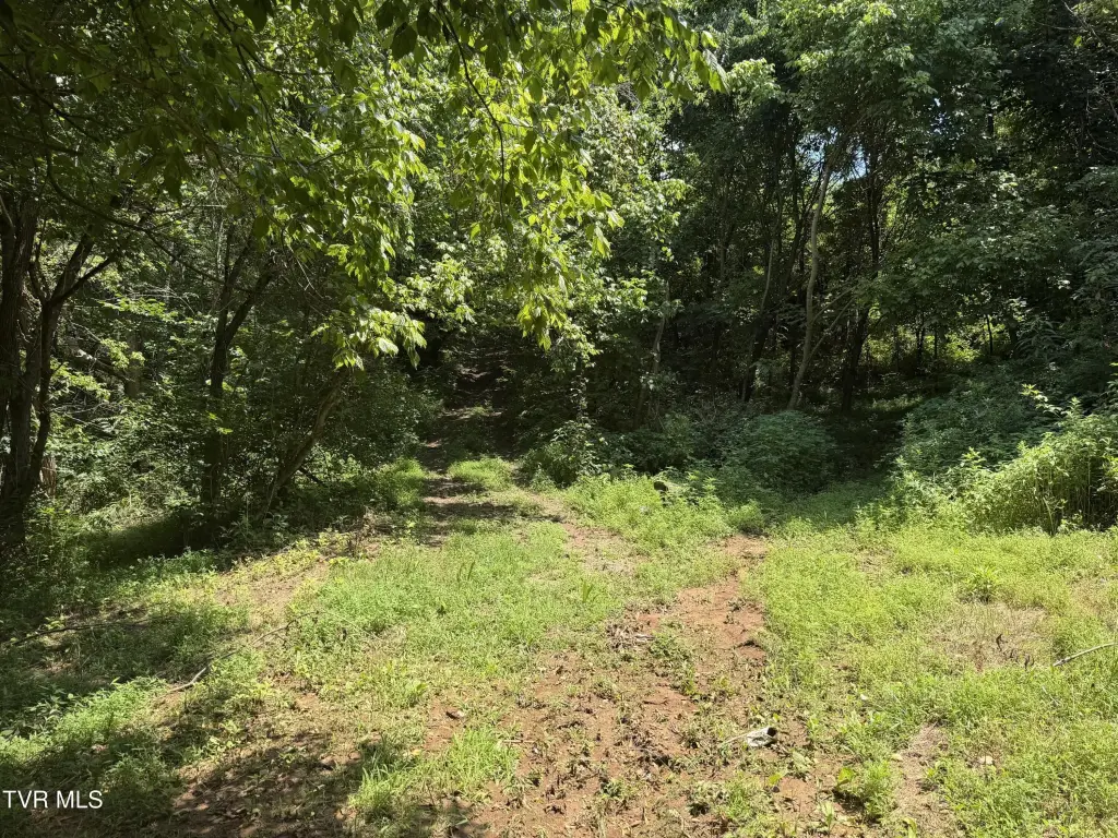 Picture 3