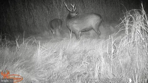 Eastern Shore Hunting Lodge