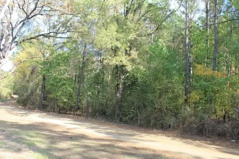 Unrestricted Land Near Toledo Bend