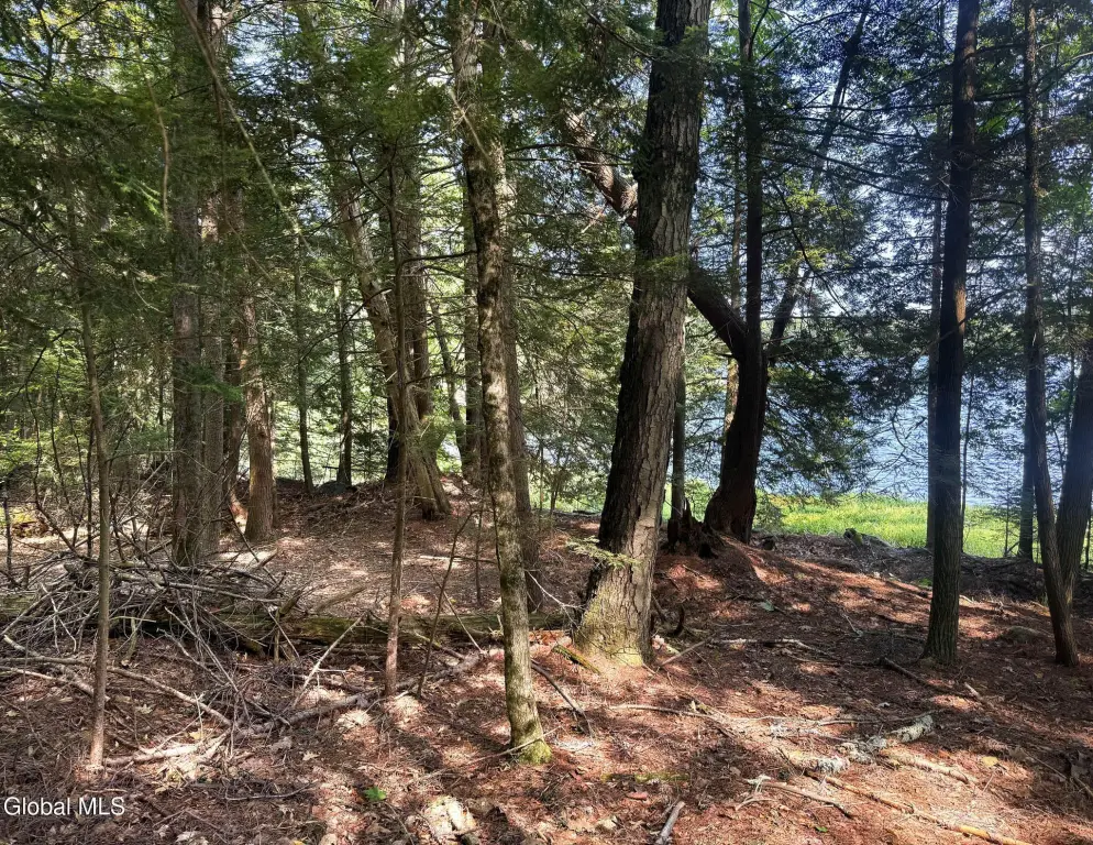 Picture 29