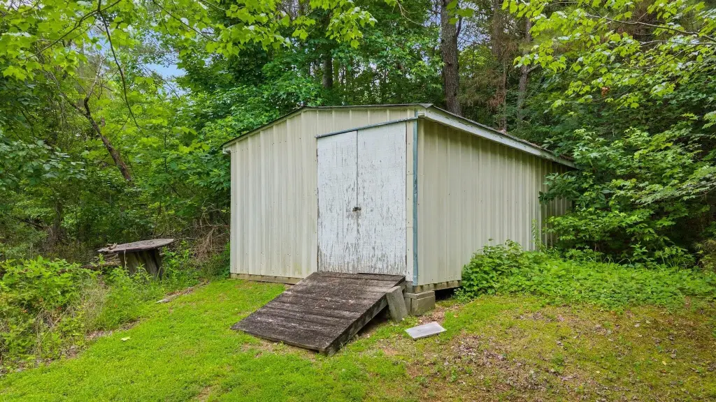 Picture 20