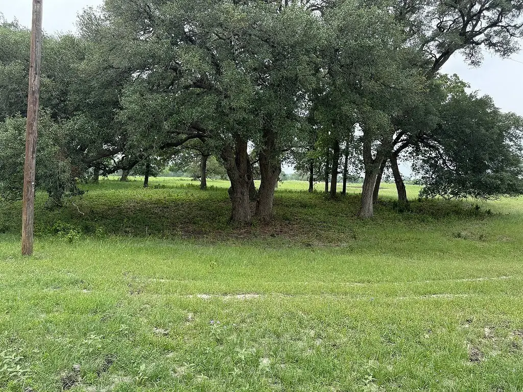 Picture 24