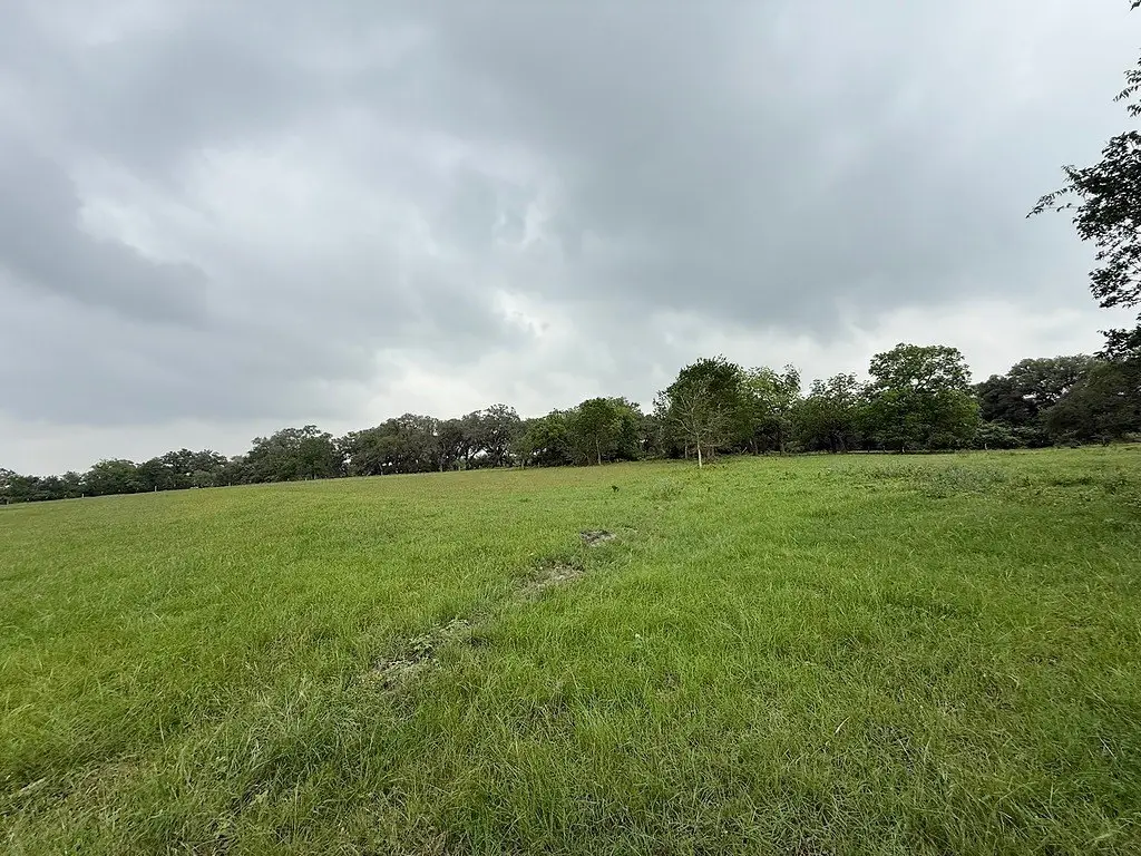 Picture 14