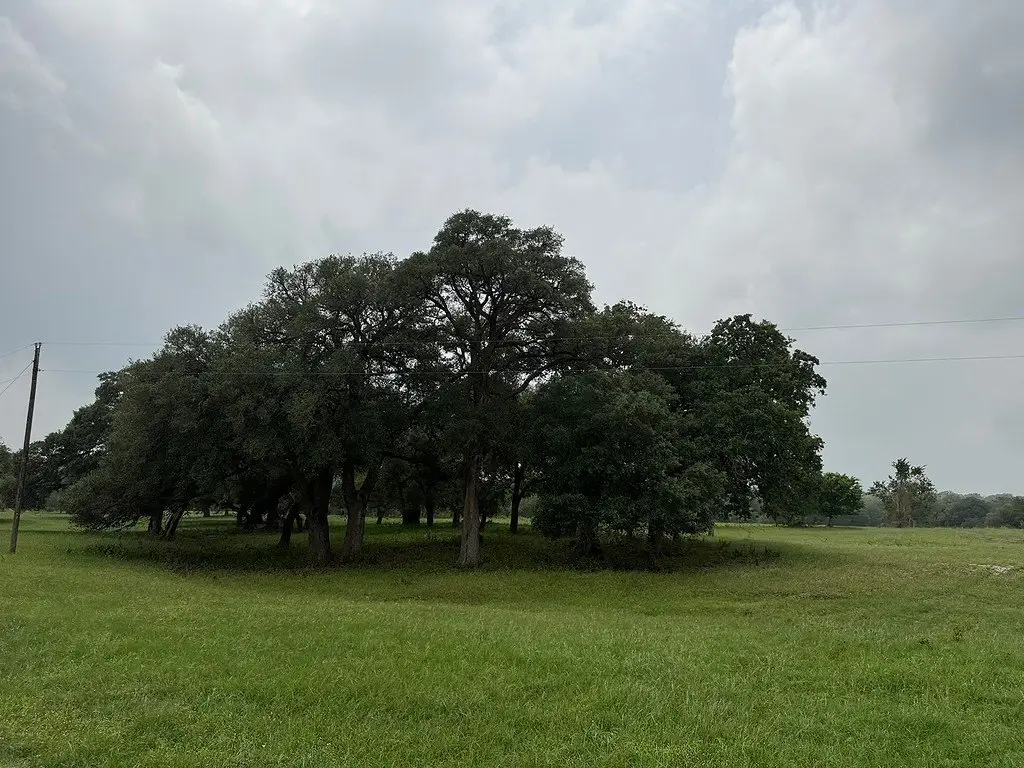 Picture 25