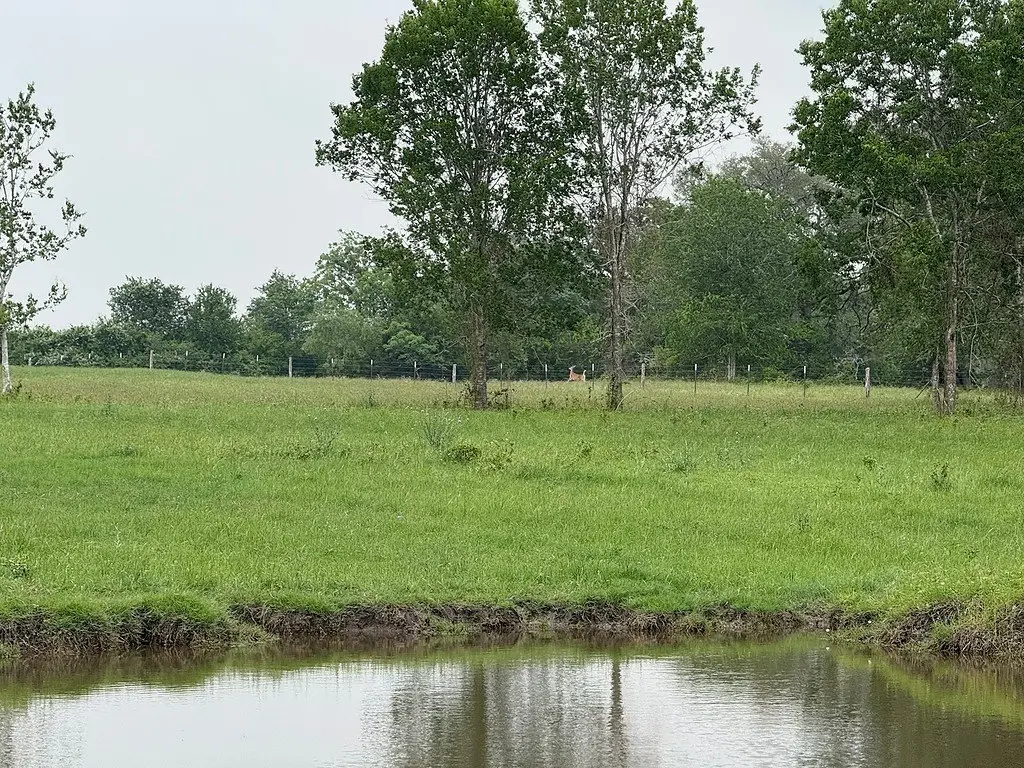 Picture 16